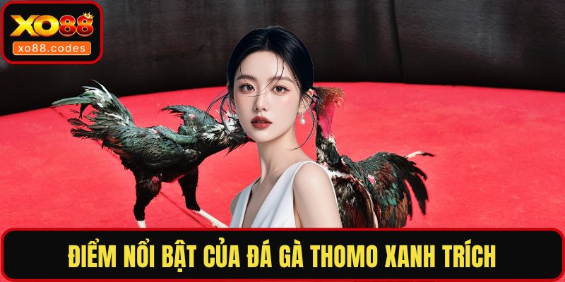 Điểm nổi bật của đá gà thomo xanh trích