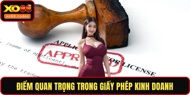 Điểm quan trọng trong giấy phép kinh doanh