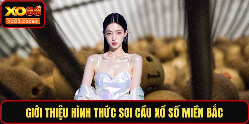Giới thiệu hình thức soi cầu xổ số miền Bắc