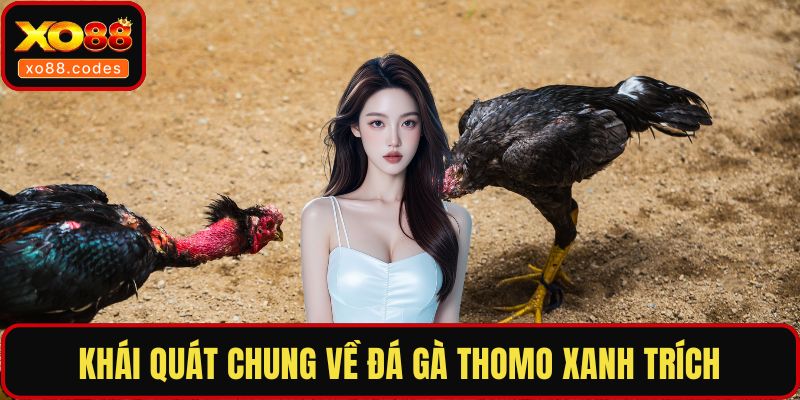 Khái quát chung về đá gà thomo xanh trích