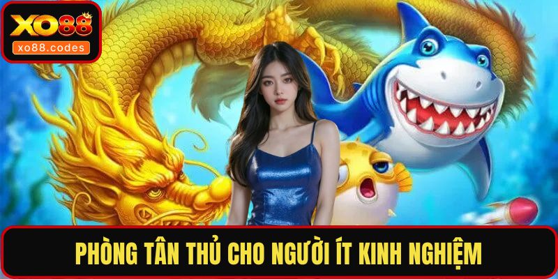 Phòng Tân Thủ cho người ít kinh nghiệm