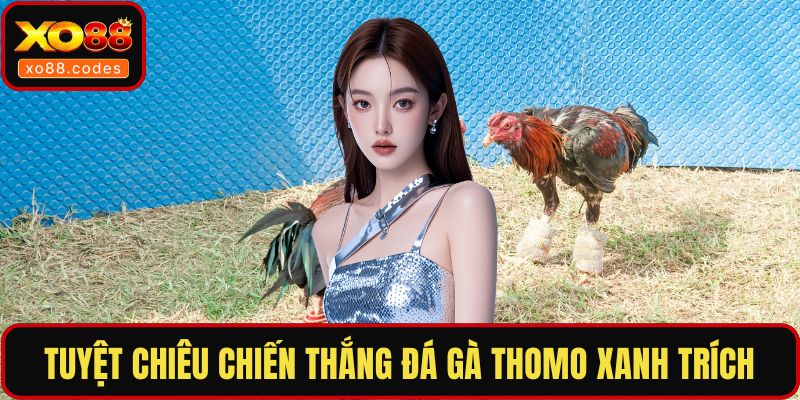 Tuyệt chiêu chiến thắng đá gà thomo xanh trích